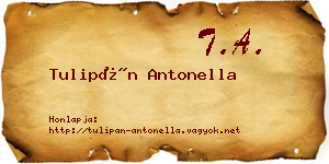 Tulipán Antonella névjegykártya